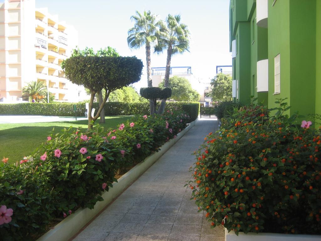 Los Juncos Apartamentos - Solo Familias Oliva Eksteriør bilde